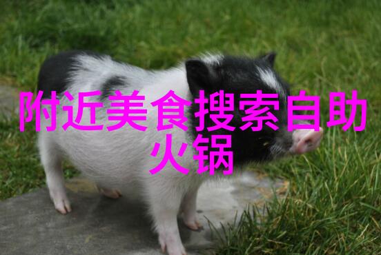 家常面粉点心做法大全有哪些