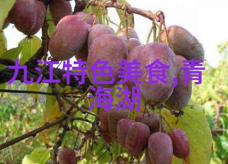 眉山东坡翠竹
