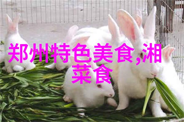 中江挂面