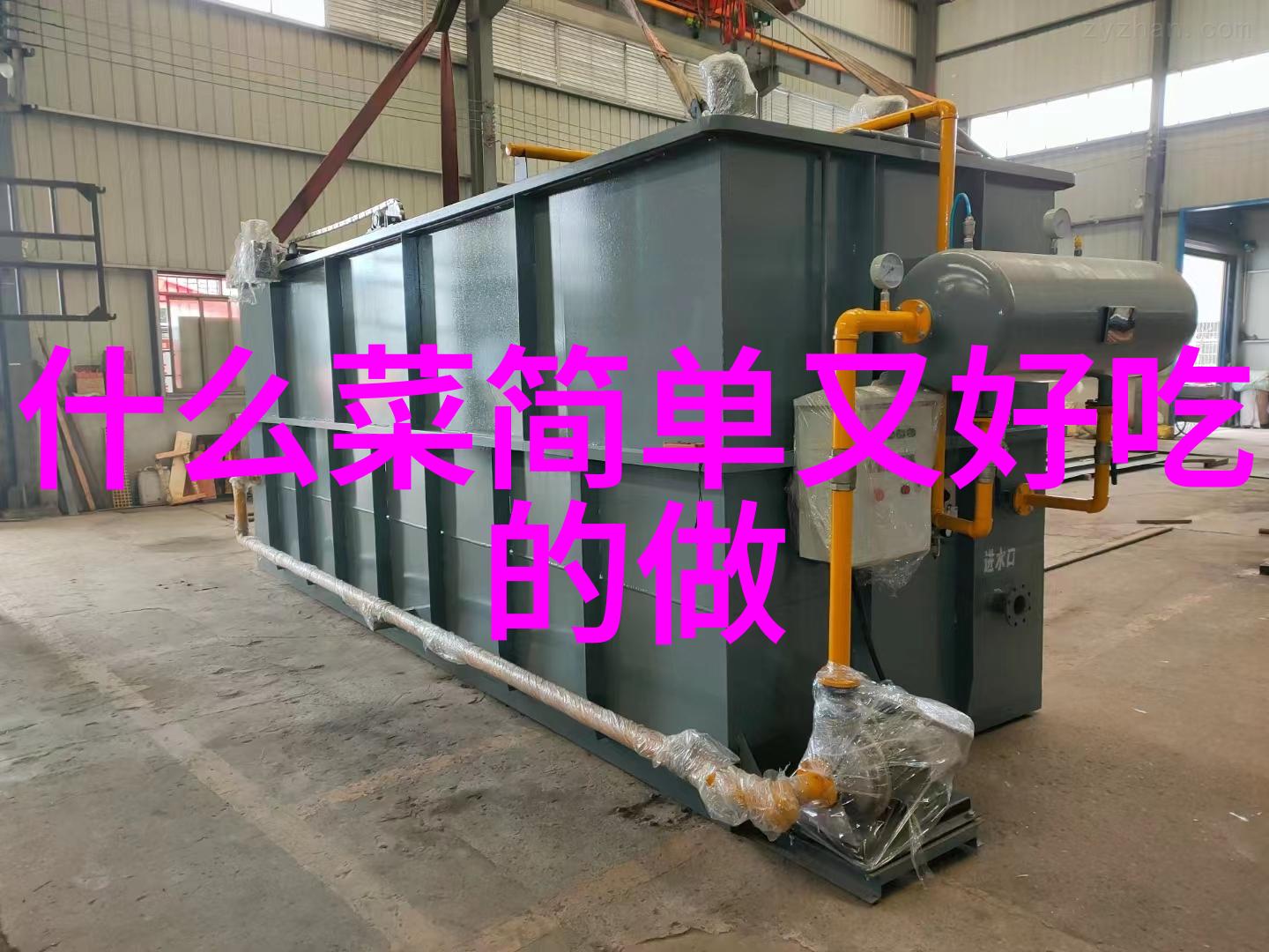 家常排骨排骨的做法最快最好吃