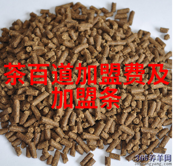 木瓜煲排骨做法大全