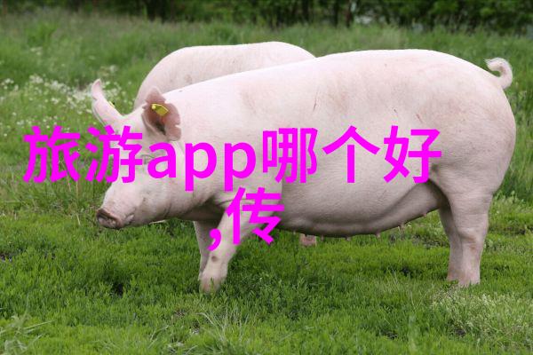 芋头蒸排骨的家常做法